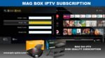 Mag 544 IPTV Box Subscription